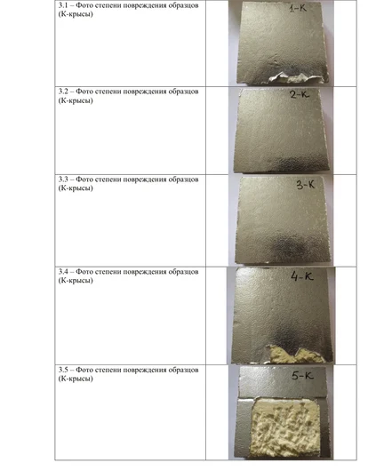 afa118b4-c547-4fef-897c-1294f04d3dd1-file-010.png